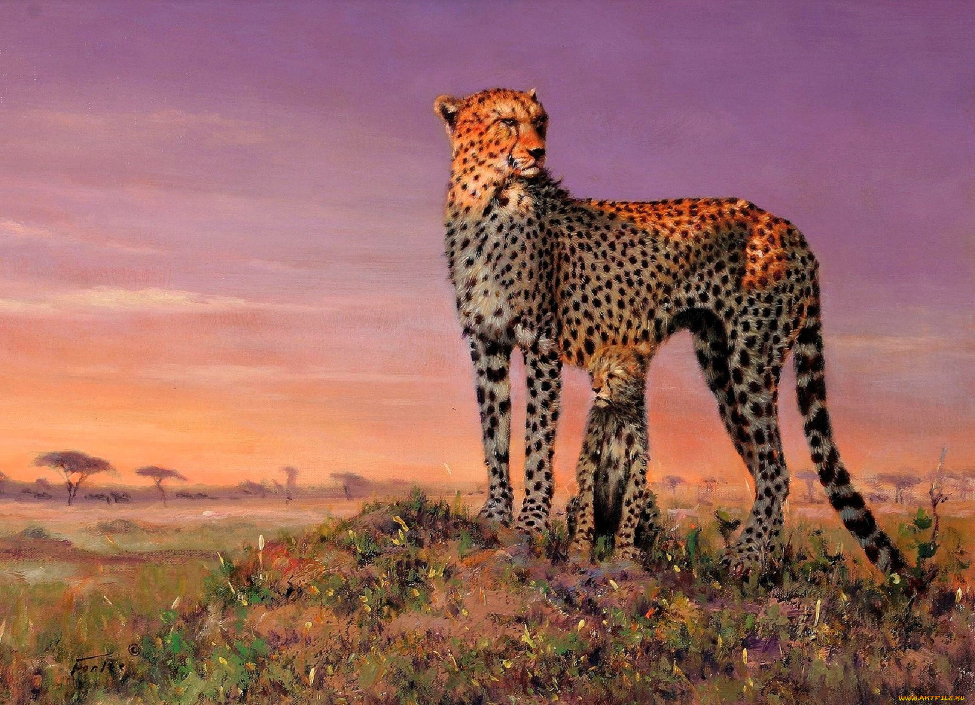 , eric forlee, , , , 